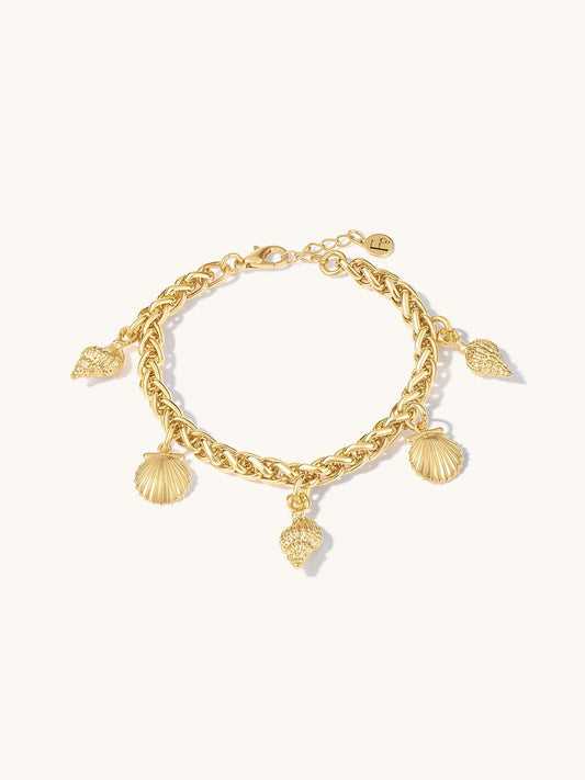 Gold chain bracelet with shell charms on a white background