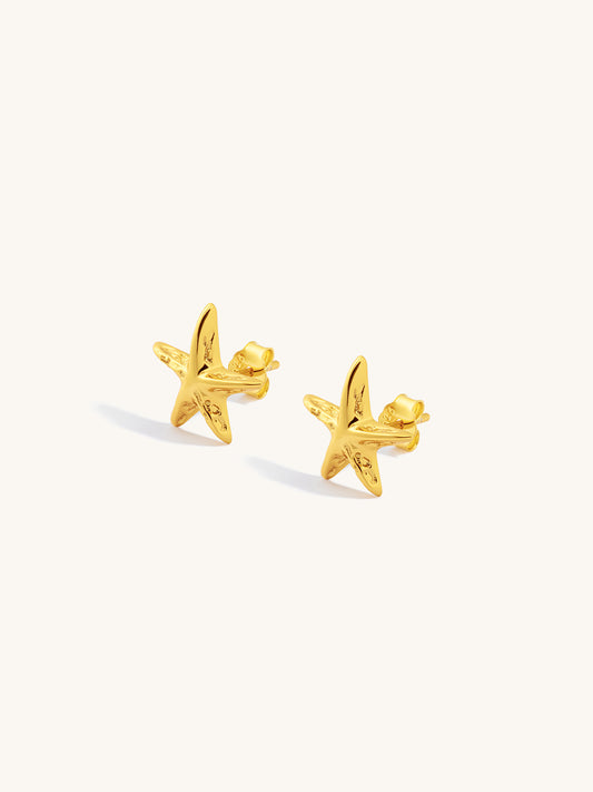 Gold starfish earrings on a white background