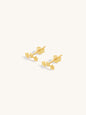falling-star-delicate-studs